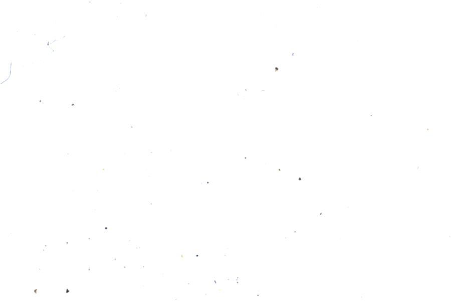 Image 53